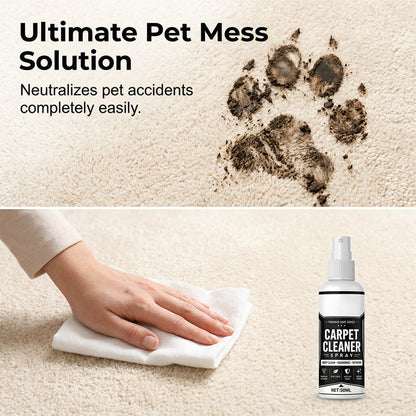 🔥Last Day Buy 1 Get 1 Free🔥Deep Cleaning Carpet Cleaner Spray