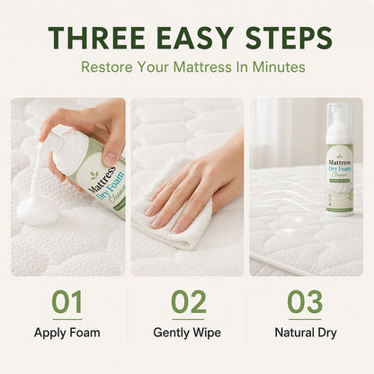 🔥Last Day BOGO SALE🔥 No-Rinse Mattress & Upholstery Foam Cleaner – Enzyme-Powered Deep Cleaning Formula🛏️🧽