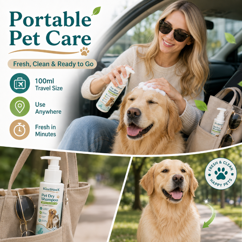 🔥Last Day Buy 1 Get 1 Free🔥Rinse-Free Pet Shampoo Mousse