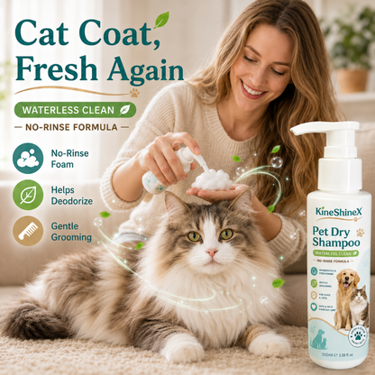 🔥Last Day Buy 1 Get 1 Free🔥Rinse-Free Pet Shampoo Mousse